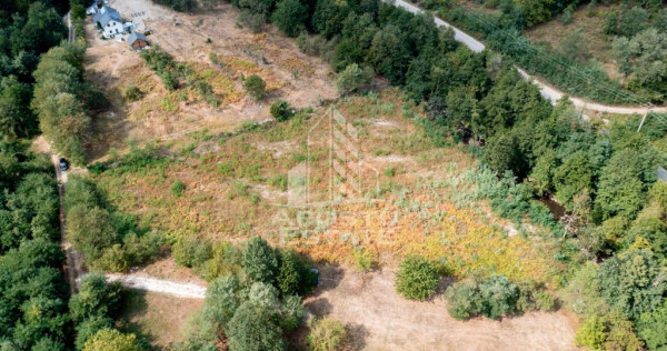 Teren de vanzare, 5000mp, cu iesire la rau, in Borlova, Muntele Mic