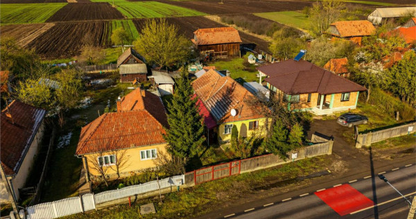 Proprietate pe 1.800 mp teren, avantaje alese, in vecinatate