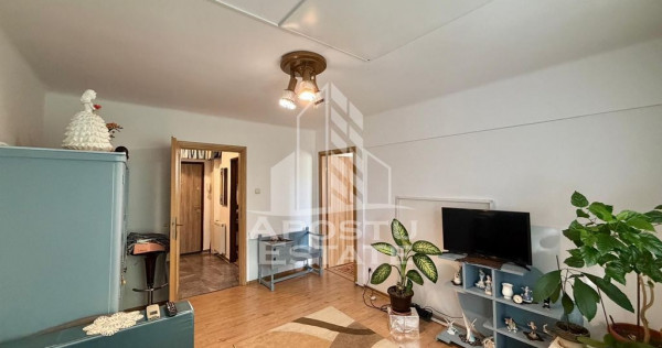 Apartament cu 2 camere de vanzare, etaj 1, Brancoveanu, Timisoara