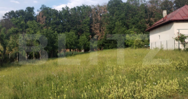 Teren intravilan, 1070 mp, zona Centrală - Băbana