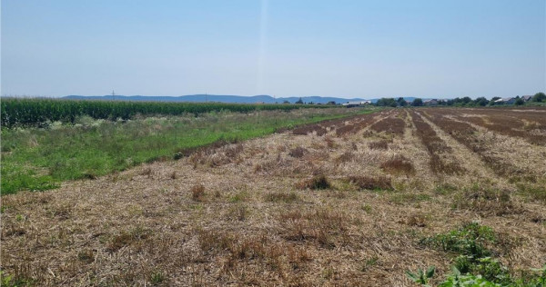 Teren Calea Barladului