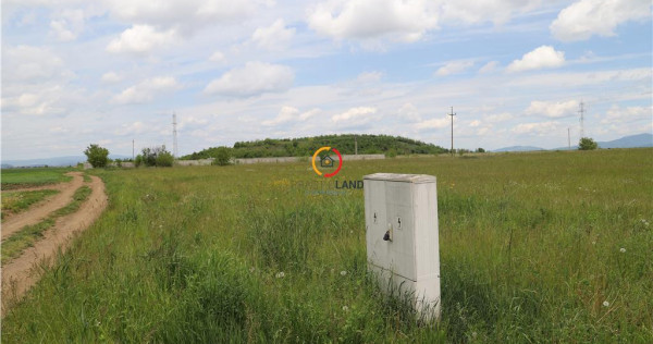 Teren intravilan13100 mp pentru dezvoltare imobiliara