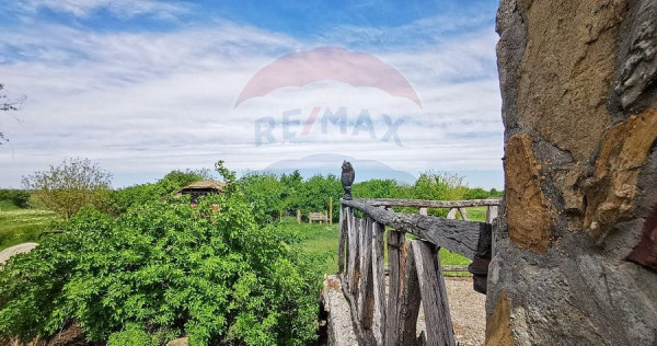 Vanzare Casa-Conac boieresc stil Baroc cu teren in Stoene...