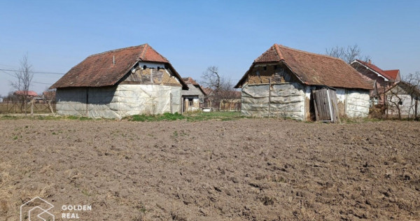 Casa cu teren generos 6149 mp, aproape de centru, Tarnova