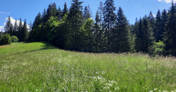 Predeal-Teren intravilan de vanzare