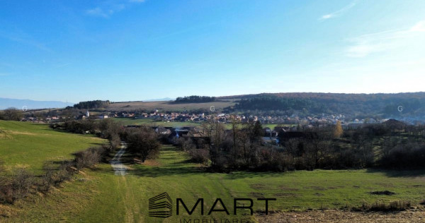 Teren extravilan 650mp Rusciori