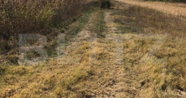 Teren 3222 mp, zona Dragomiresti