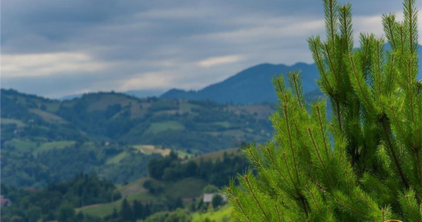 Oaza de liniste si frumusete, reconectare cu natura, 16.000