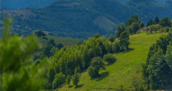 Oaza de liniste si frumusete, reconectare cu natura, 16.000