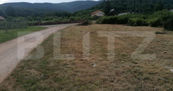 Teren intravilan 939 mp apa, gaz, curent pe partea stanga Mi