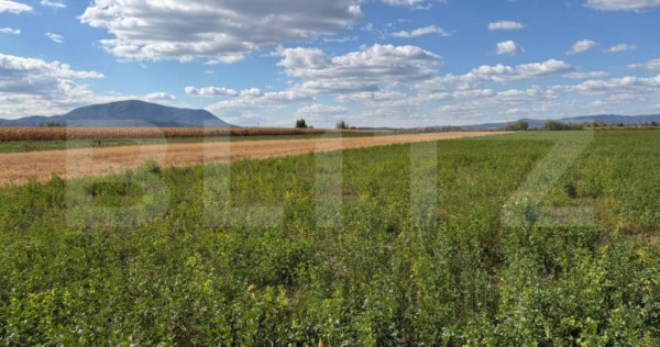 Teren intravilan, Puz aprobat parcele intre 500 - 700 mp