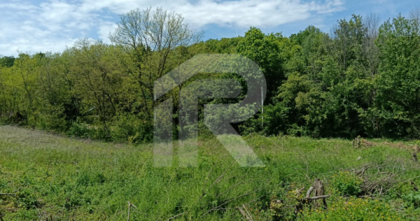 Teren Intrav. in Tiparesti, Cocorasti Mislii, langa padure