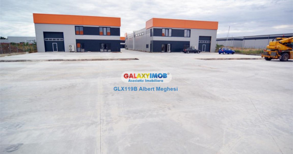 Hala 482 mp Chiajna Centura