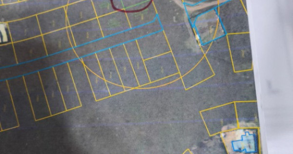 Teren Veterani/ colt