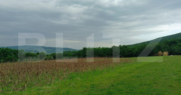 Teren pentru cabana /pensiune locatia perfecta pentru relaxa