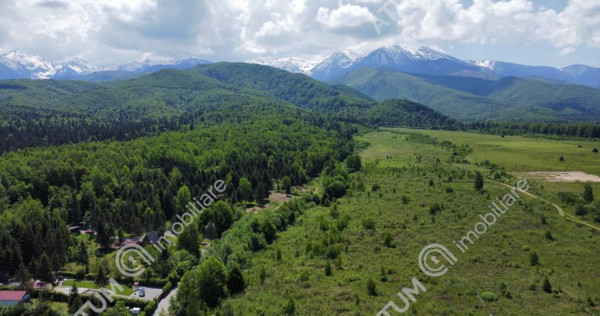 Teren intravilan 1000 mp de pe Valea Avriguluiu