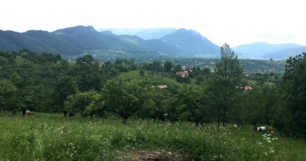 FILM PREZENTARE! ! Natura si peisajul la tine acasa, Bran