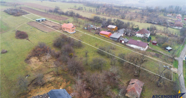 FILM! Casa si domeniu de 5.000mp, in Berchez:o bijuterie asc