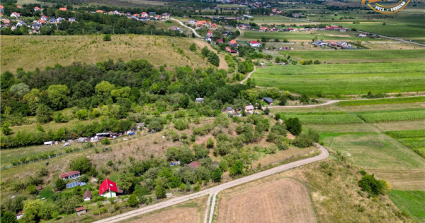 FILM! 4.500 mp,extravilan,livada,in Sancraiu,Covasna,acces f