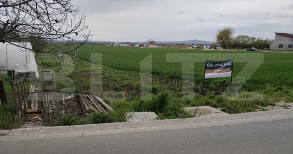 Teren 8600 mp &icirc;n Podgoria