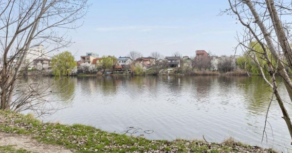 Teren la lac in Pipera, Voluntari