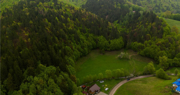 LIVE!Refugiu in inima naturii:Cabana sub aripa padurii si cu