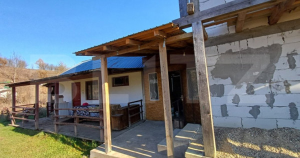 Casa + 20 arii teren, distanta 30 km de Bistrita