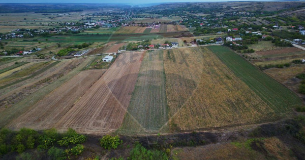 Teren 10.000 mp Simnicul de Sus-Lesile.intravilan