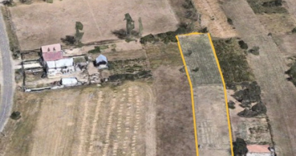 Teren intravilan Ghercesti, Dolj, 3181mp