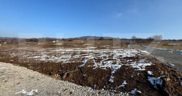 Teren intravilan de vanzare, 550 mp, zona Leoni