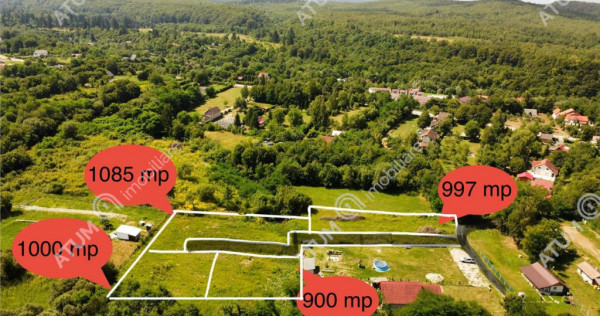 Teren intravilan de 1085 mp in Avrig zona Valea Avrigului