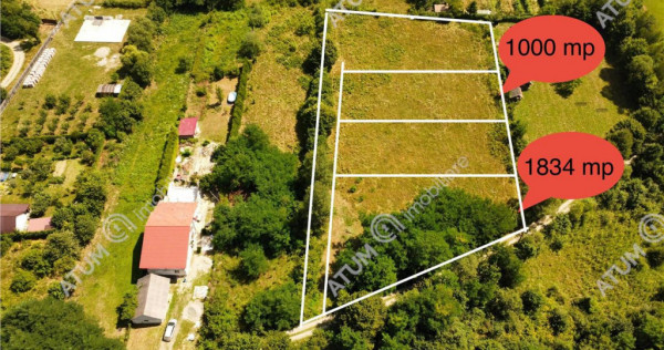 Teren intravilan de 1000 mp in Avrig zona Valea Avrigului