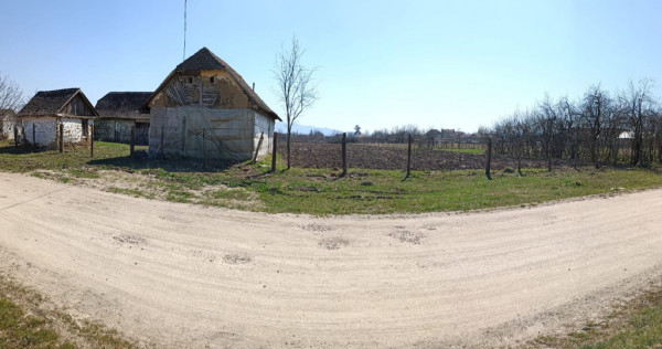 Teren intravilan cu casă.6150mp Tarnova, Arad