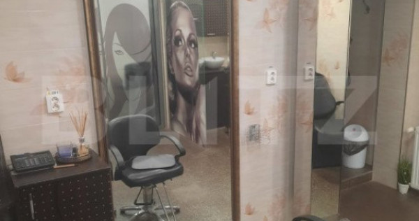 Apartament cu doua camere tip salon in Tarnaveni