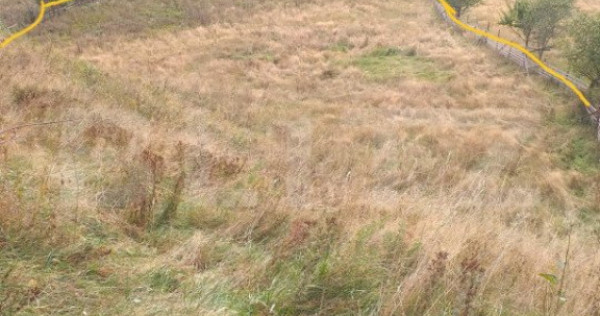 Teren intravilan, 7500 mp, zona Vatra Dornei