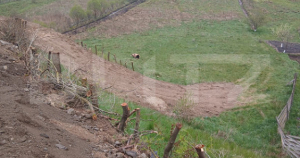 Teren intravilan de 7.500 mp &icirc;n Vatra Dornei &ndash; oportunita