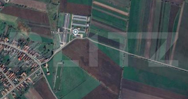 Teren extravilan de vanzare, 5000 mp, zona Bod