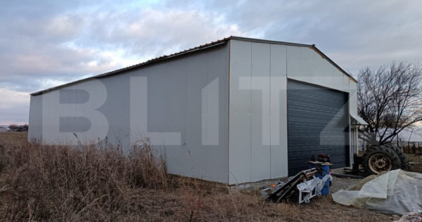Hala Industriala 200 mp, Teren 4500 mp, zona Pietrosani PH