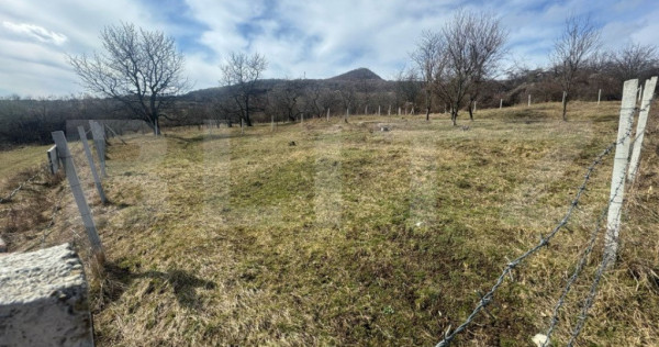 Teren extravilan de vanzare, 1000 mp, zona Valea Rusului
