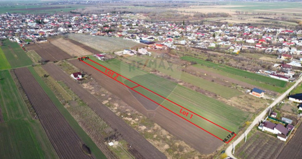 Teren Vanatori Strada Crizantemelor