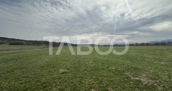 Teren 23.486 mp, deschidere 80 m, ideal comercial/industrial