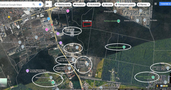 Teren intravilan 12.000mp - Padurea Baneasa