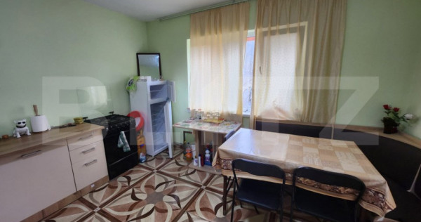 Casa individuala,65 mp,1150 mp teren,Valisoara