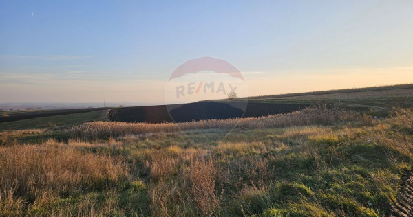 Teren extravilan 30077mp Stroiesti / Soseaua DN17, Suceava