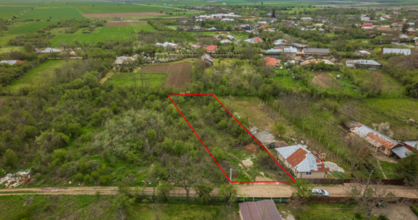 LETCA NOUA, TEREN CONSTRUCTII 1184 MP, FRONT 21 M !