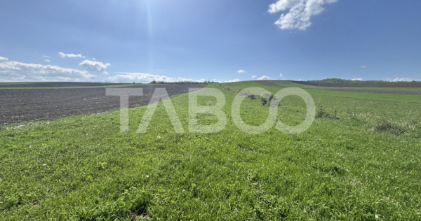 Teren de vanzare extravilan 6500 mp in Hamba judetul Sibiu