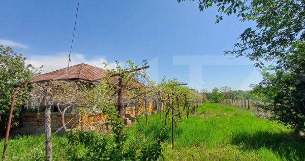 Teren de vanzare, 7300 mp, zona Danesti