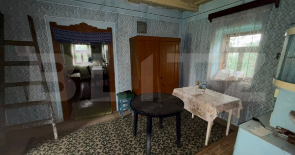 Casa de vanzare, cu 10 ari de gradina.