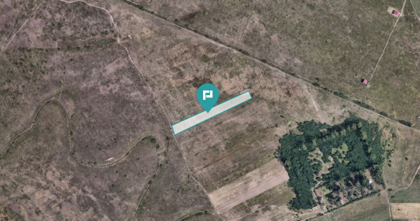 Investiție cu potențial ridicat, teren 10.000 mp