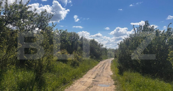 Teren extravilan de vanzare, 2500 mp, zona Valea Sigmirului